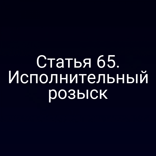 Статья 65. Исполнительный розыск