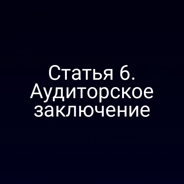 Статья 6. Аудиторское заключение