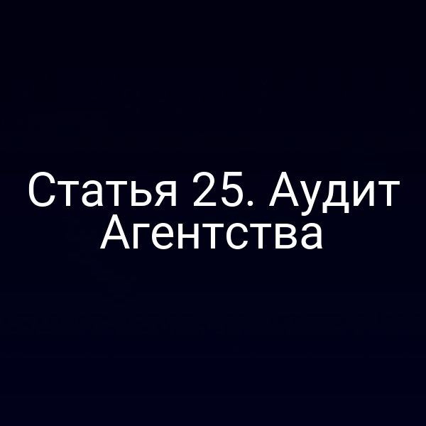 Статья 25. Аудит Агентства