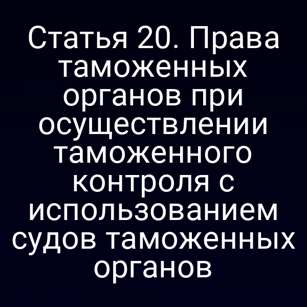 Статья 20. Права таможенных органов при осуществлении таможенного контроля с использованием судов таможенных органов