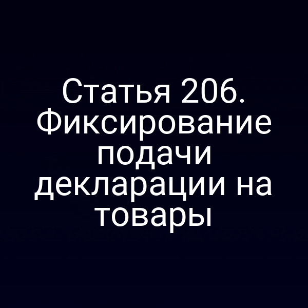 Статья 206. Фиксирование подачи декларации на товары