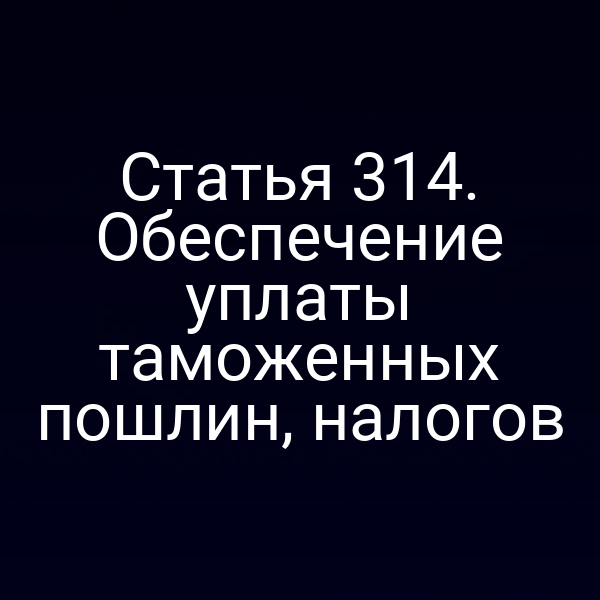 Статья 314. Обеспечение уплаты таможенных пошлин, налогов