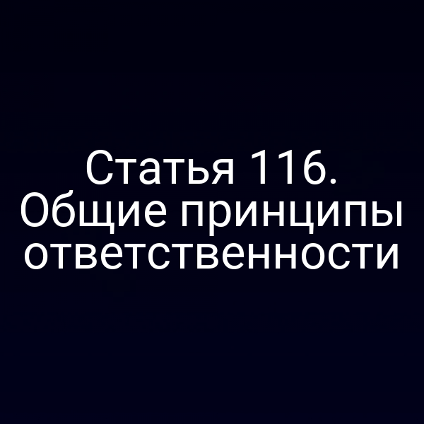 Статья 116. Общие принципы ответственности