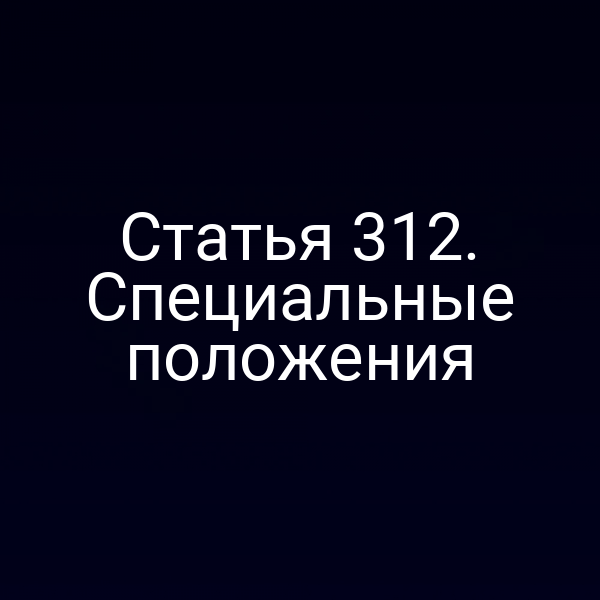 Статья 312. Специальные положения