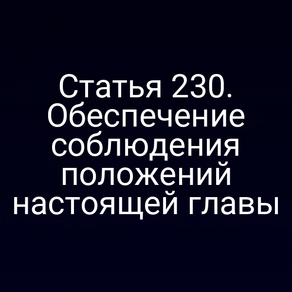 Статья 230. Обеспечение соблюдения положений настоящей главы
