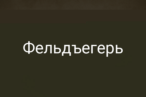 Фельдъегерь