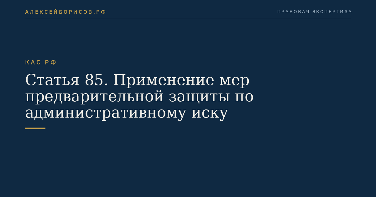 Статья 85. Применение мер предварительной защиты по административному иску