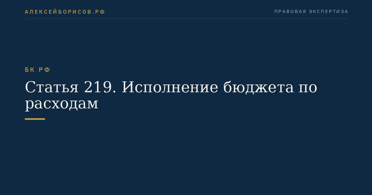 Статья 219. Исполнение бюджета по расходам