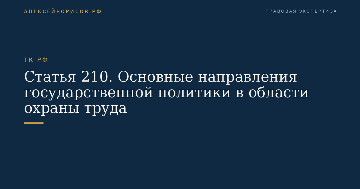 Статья 210. Основные направления государственной политики в области охраны труда