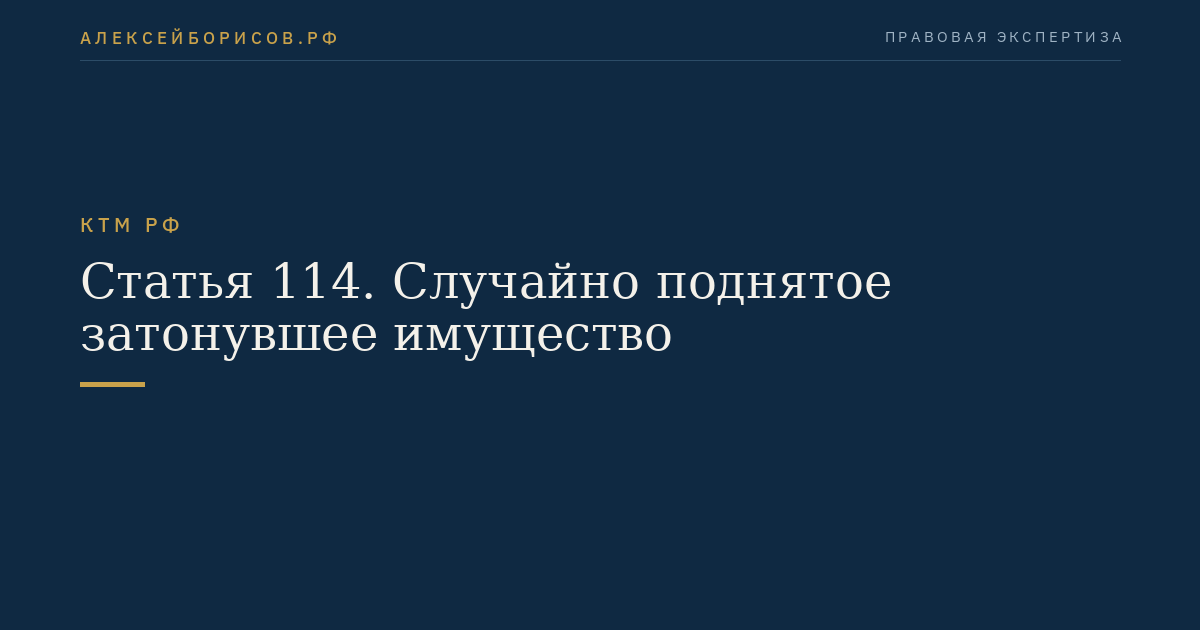 Статья 114. Случайно поднятое затонувшее имущество