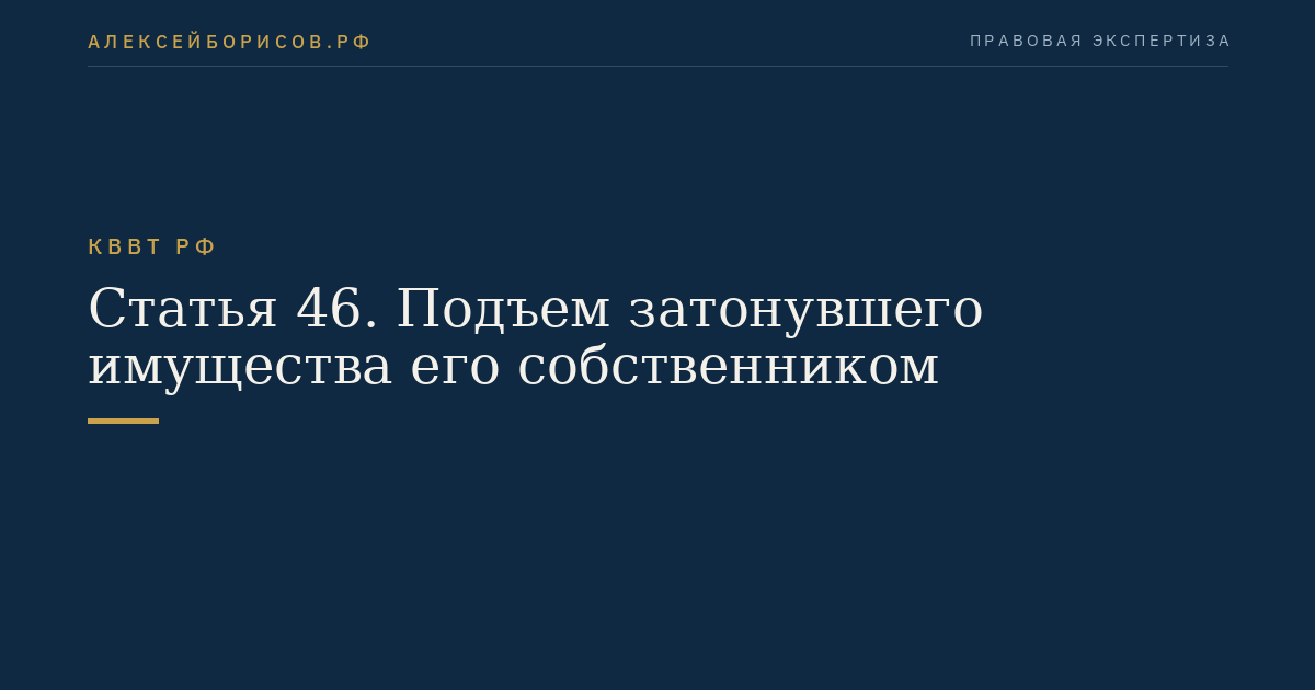 Статья 46.  Подъем затонувшего имущества его собственником