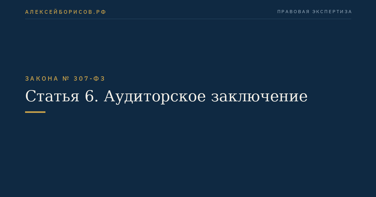 Статья 6. Аудиторское заключение