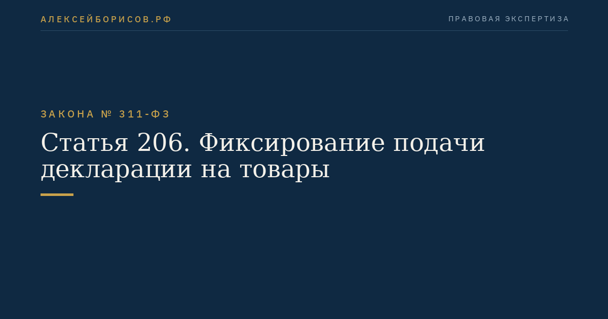 Статья 206. Фиксирование подачи декларации на товары