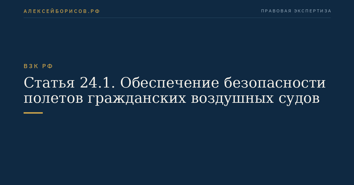 Статья 24.1. Обеспечение безопасности полетов гражданских воздушных судов
