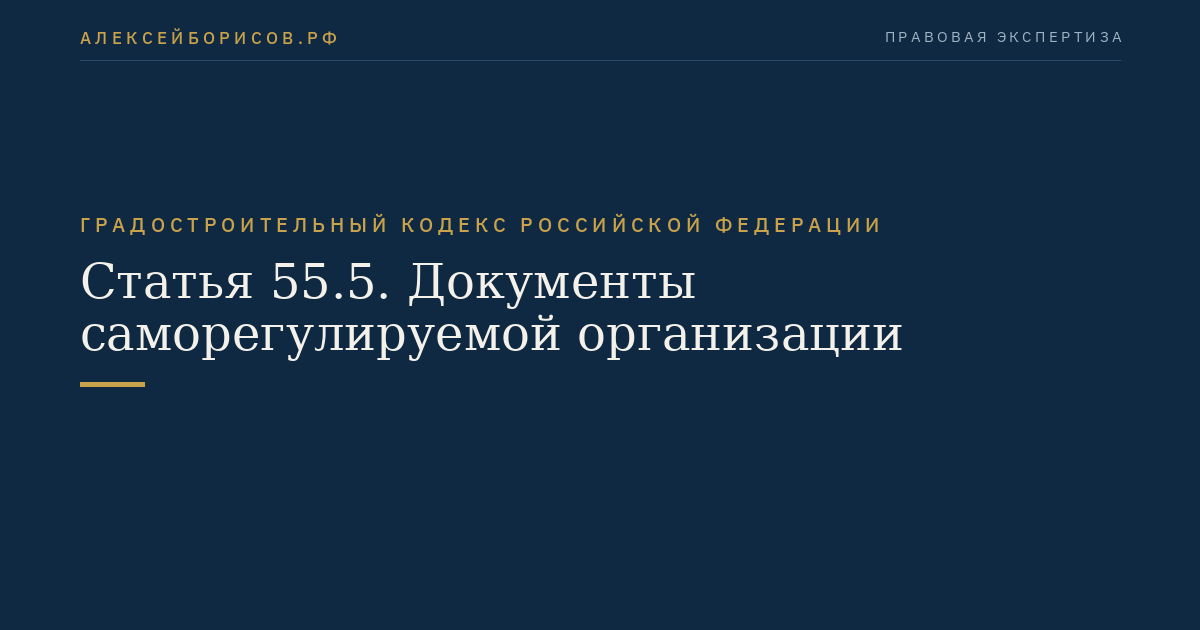 Статья 55.5. Документы саморегулируемой организации