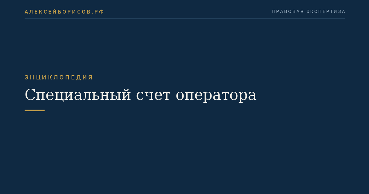Специальный счет оператора