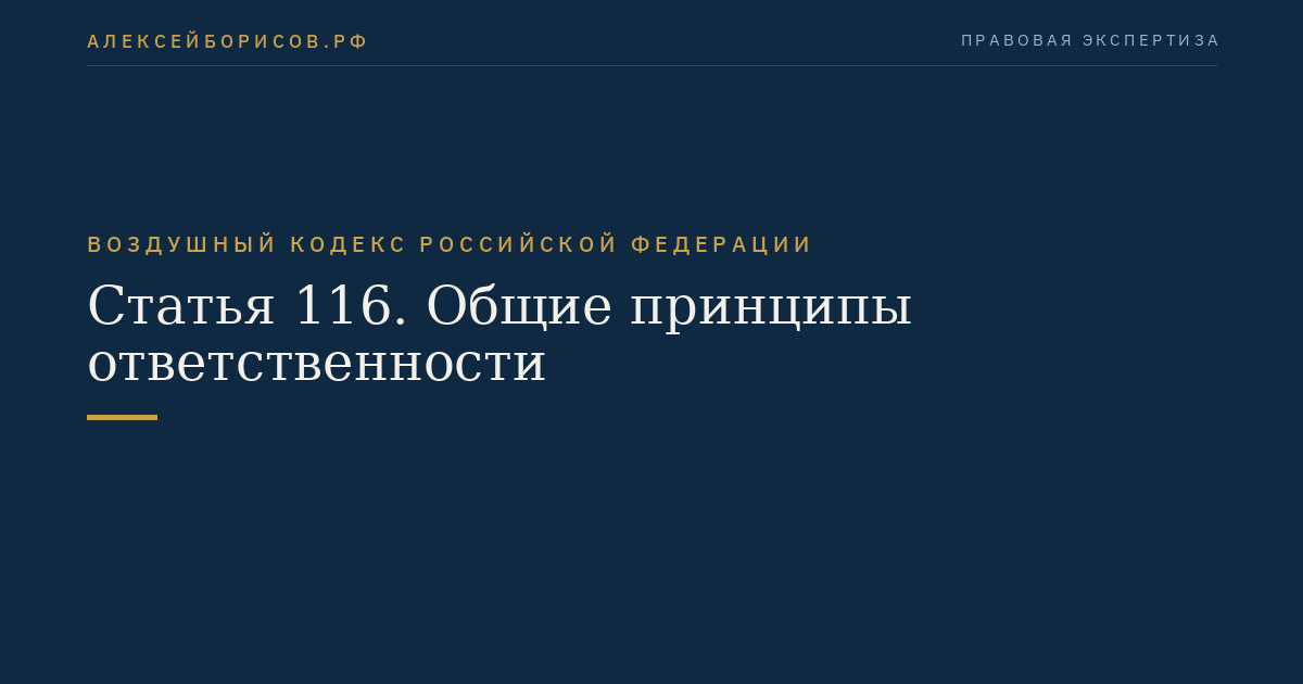 Статья 116. Общие принципы ответственности