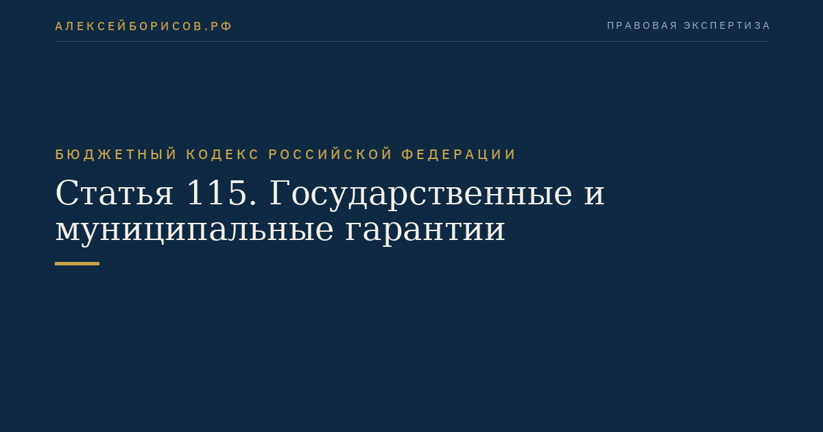 Статья 115. Государственные и муниципальные гарантии