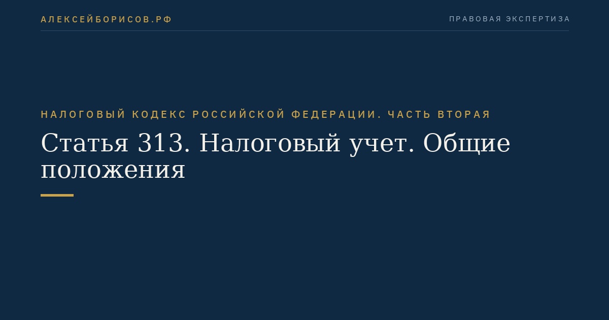 Статья 313. Налоговый учет. Общие положения