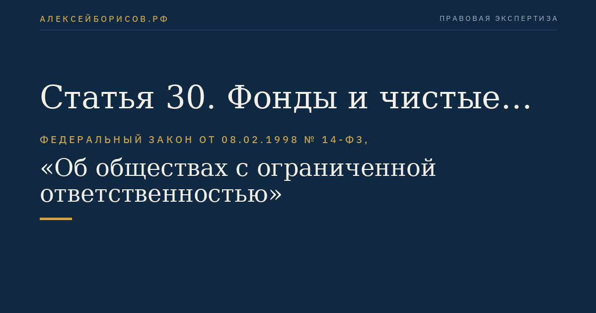 Статья 30. Фонды и чистые активы общества