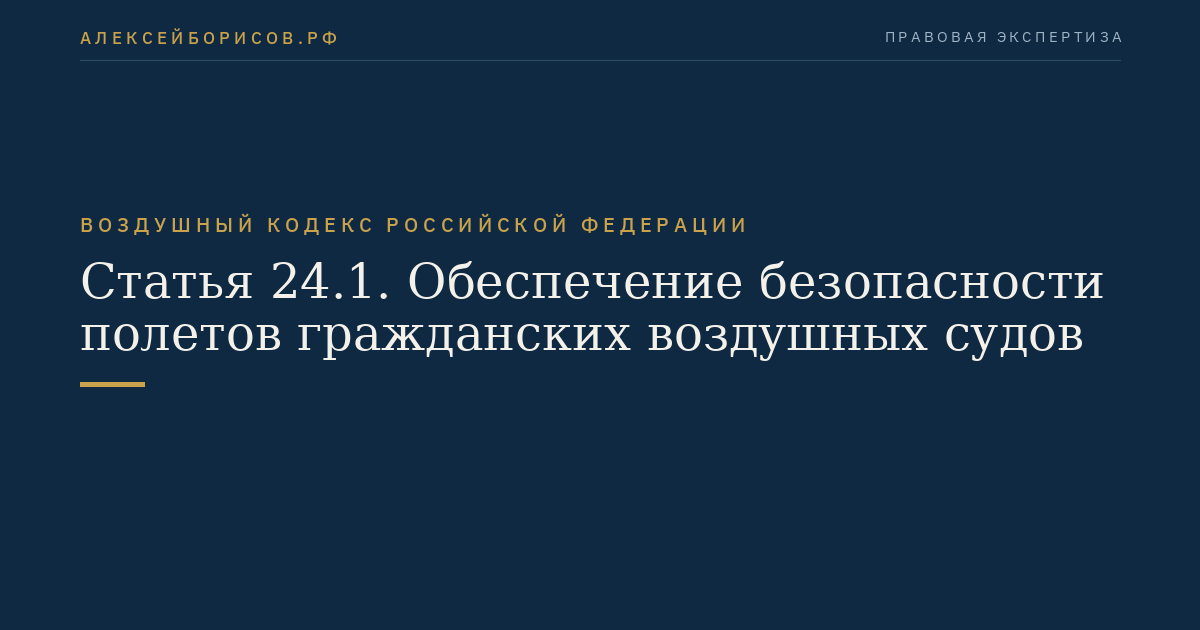 Статья 24.1. Обеспечение безопасности полетов гражданских воздушных судов