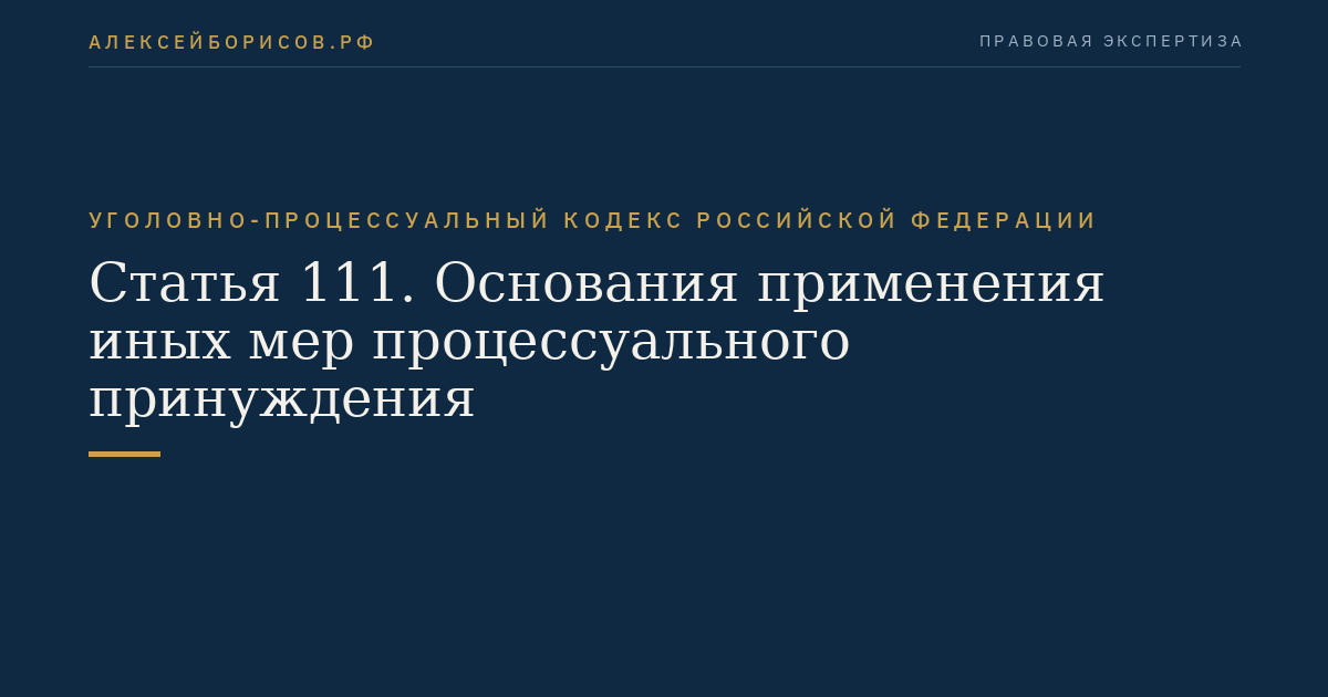Статья 111. Основания применения иных мер процессуального принуждения