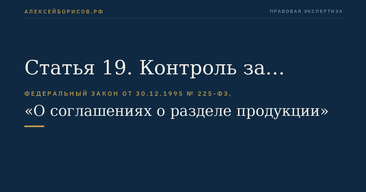 Статья 19. Контроль за исполнением соглашения