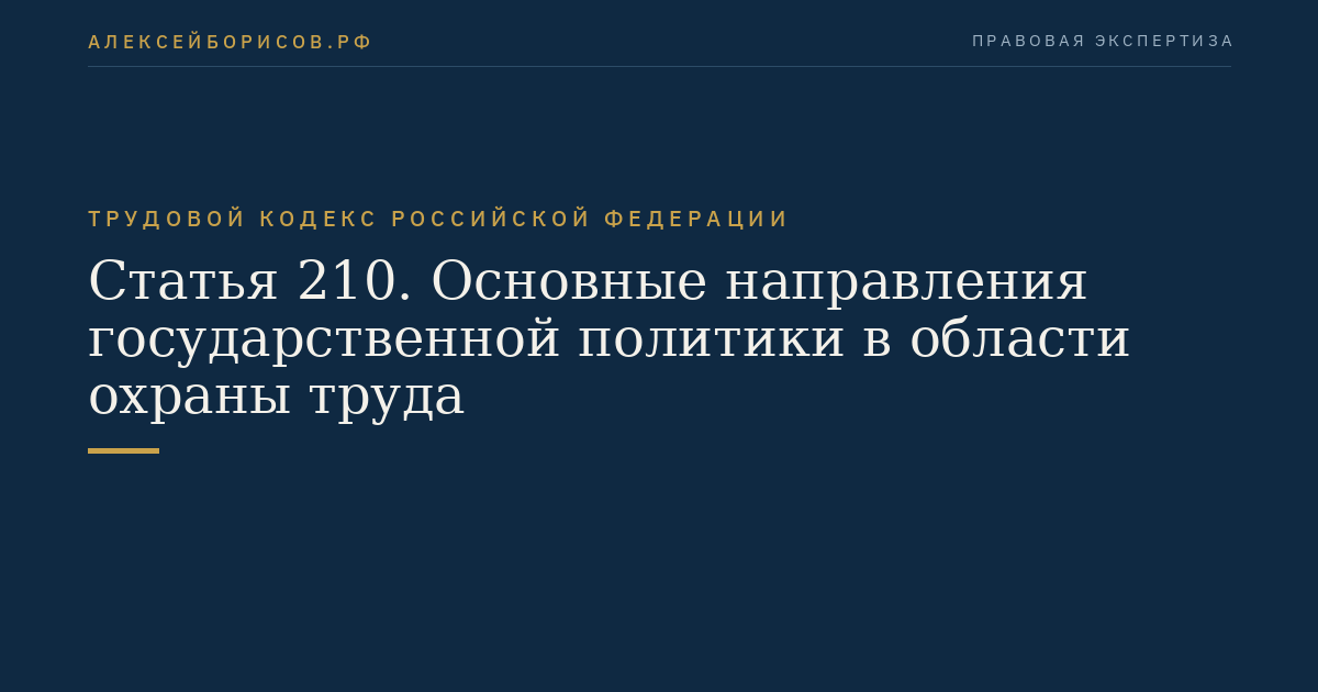 Статья 210. Основные направления государственной политики в области охраны труда