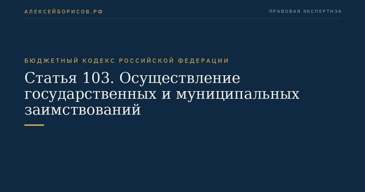 Статья 103. Осуществление государственных и муниципальных заимствований