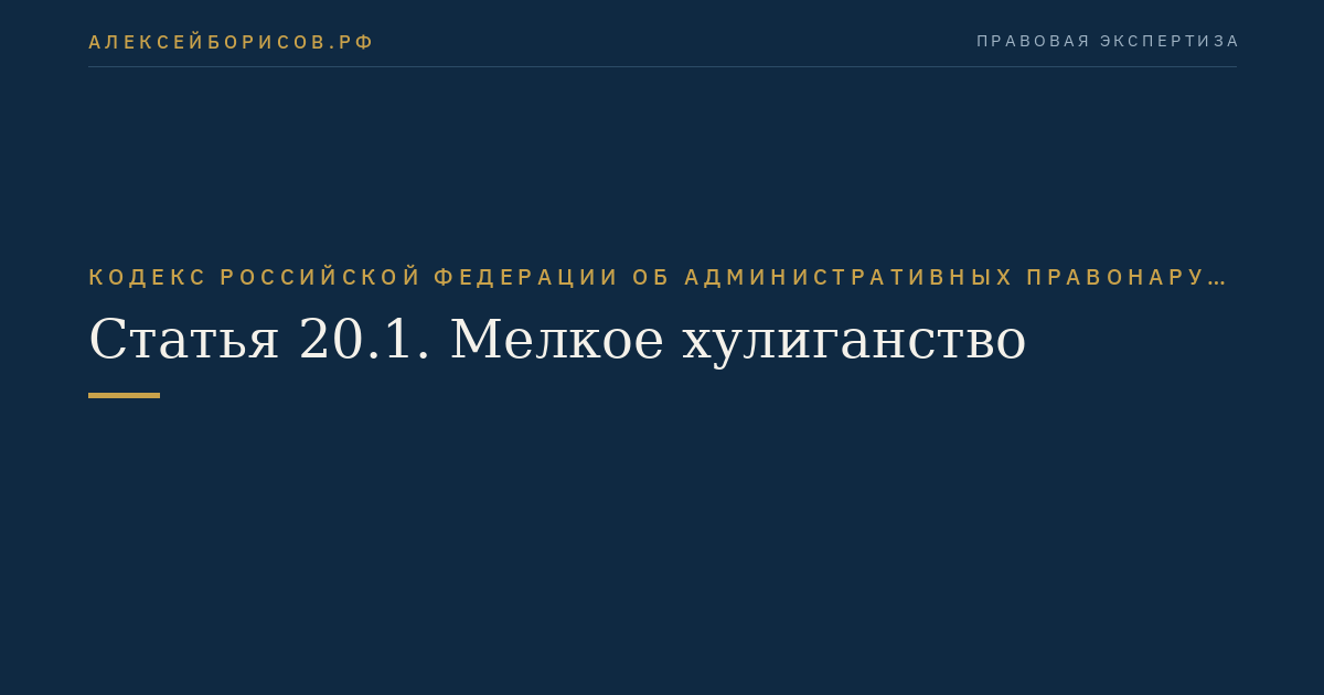 Статья 20.1. Мелкое хулиганство