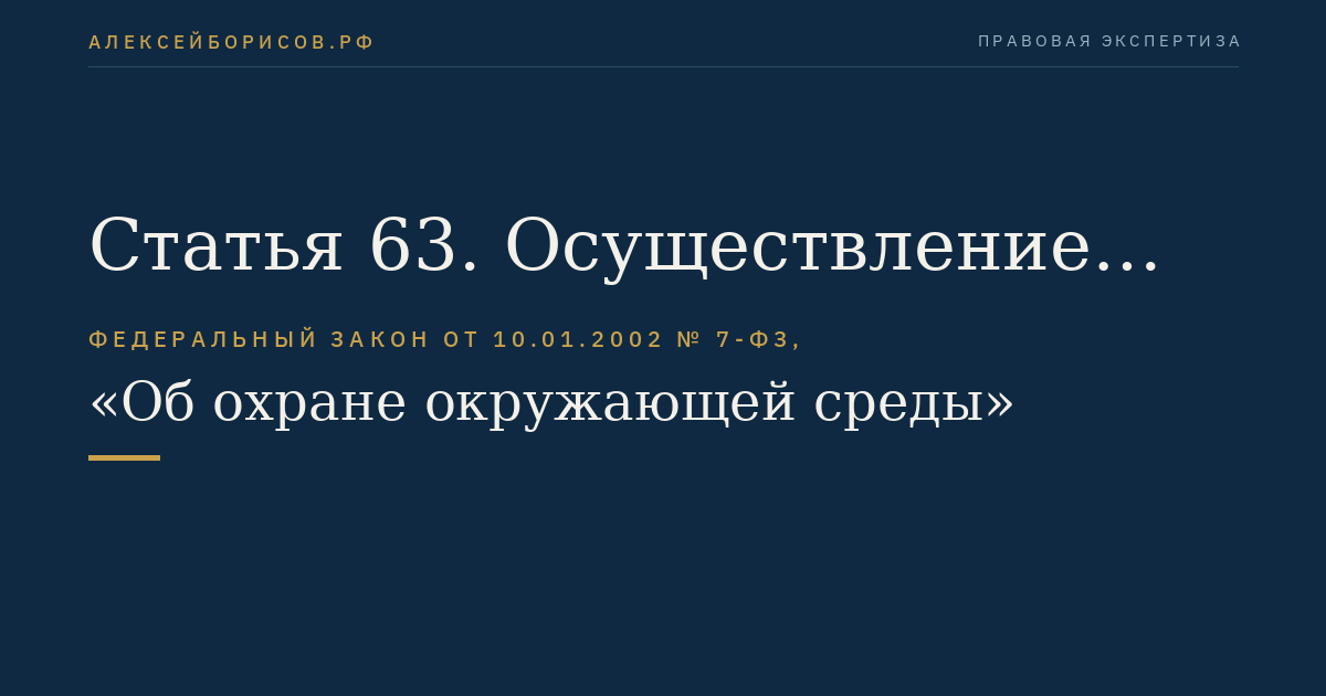 Статья 63. Осуществление государственного экологического мониторинга (государственного мониторинга окружающей среды)