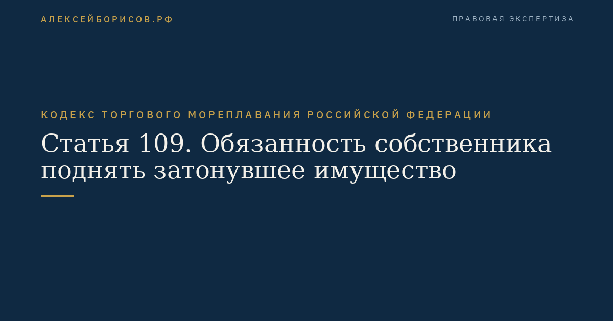 Статья 109. Обязанность собственника поднять затонувшее имущество