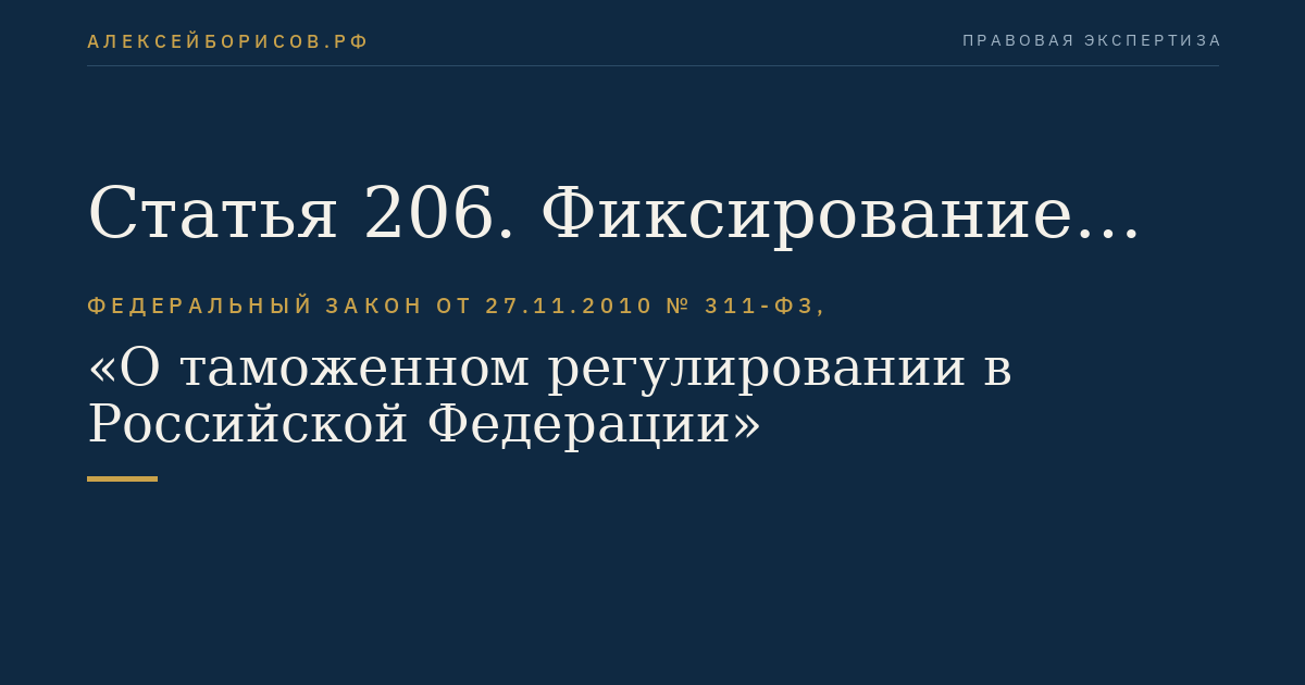 Статья 206. Фиксирование подачи декларации на товары