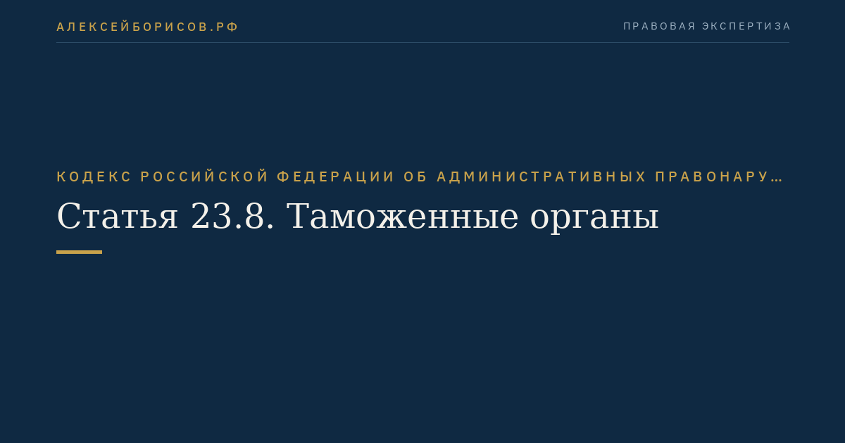 Статья 23.8. Таможенные органы