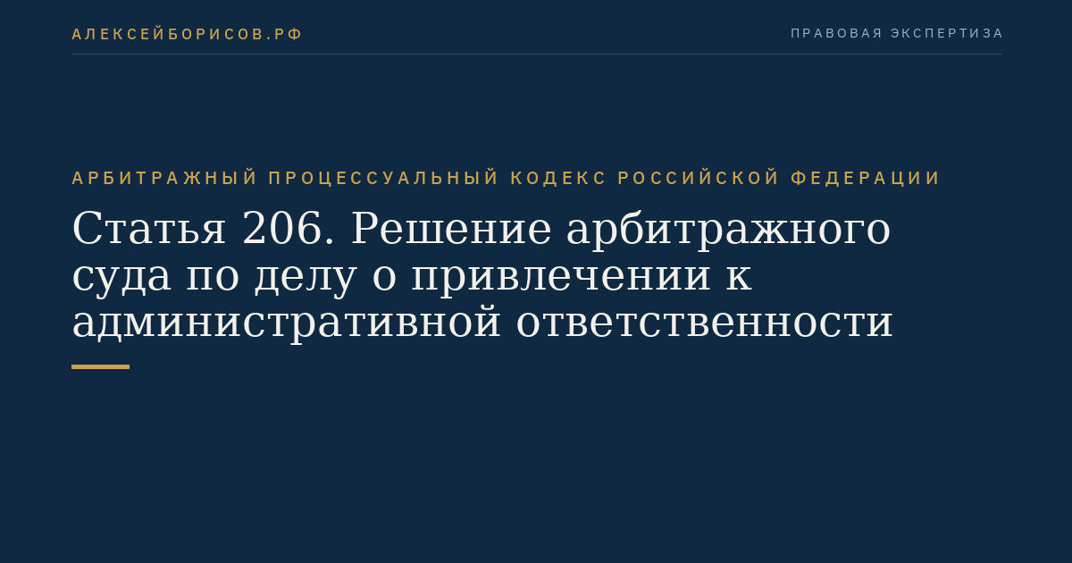 Статья 206. Решение арбитражного суда по делу о привлечении к административной ответственности