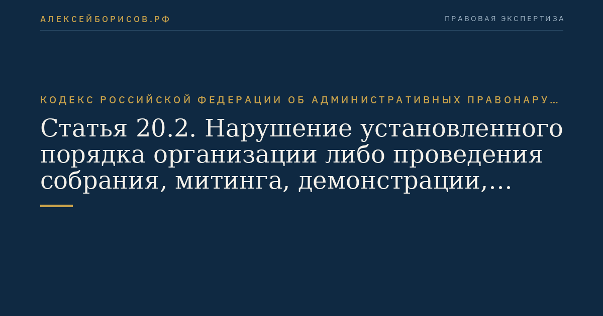 Статья 20.2. Нарушение установленного порядка организации либо проведения собрания, митинга, демонстрации, шествия или пикетирования
