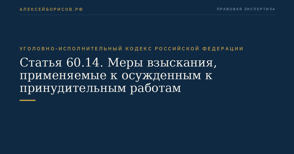 Статья 60.14. Меры взыскания, применяемые к осужденным к принудительным работам