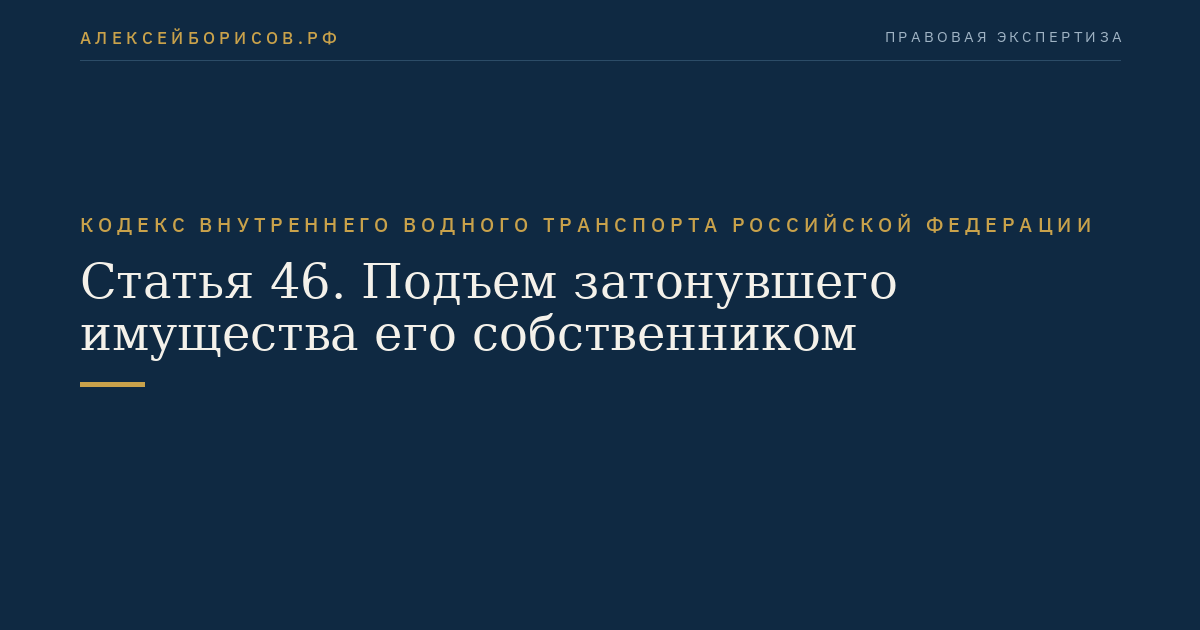 Статья 46.  Подъем затонувшего имущества его собственником