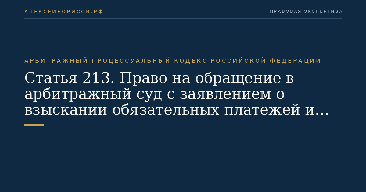 Статья 213. Право на обращение в арбитражный суд с заявлением о взыскании обязательных платежей и санкций