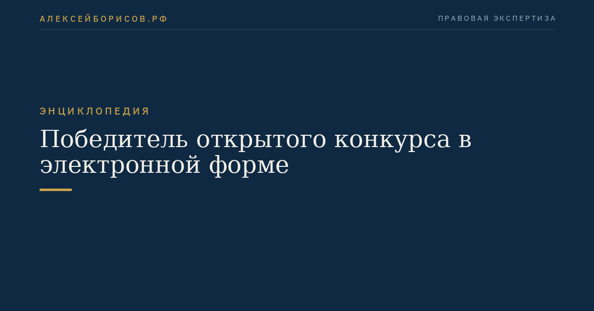 Победитель открытого конкурса в электронной форме