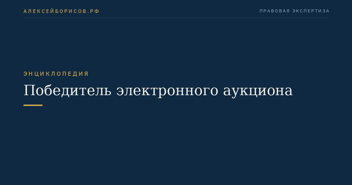 Победитель электронного аукциона