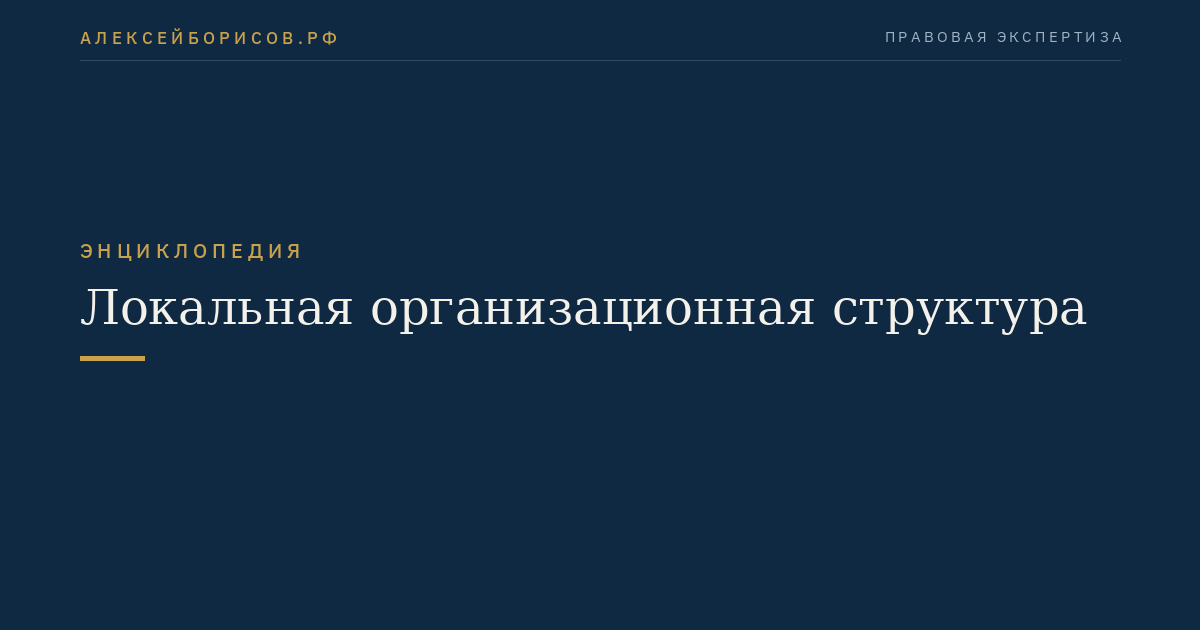 Локальная организационная структура
