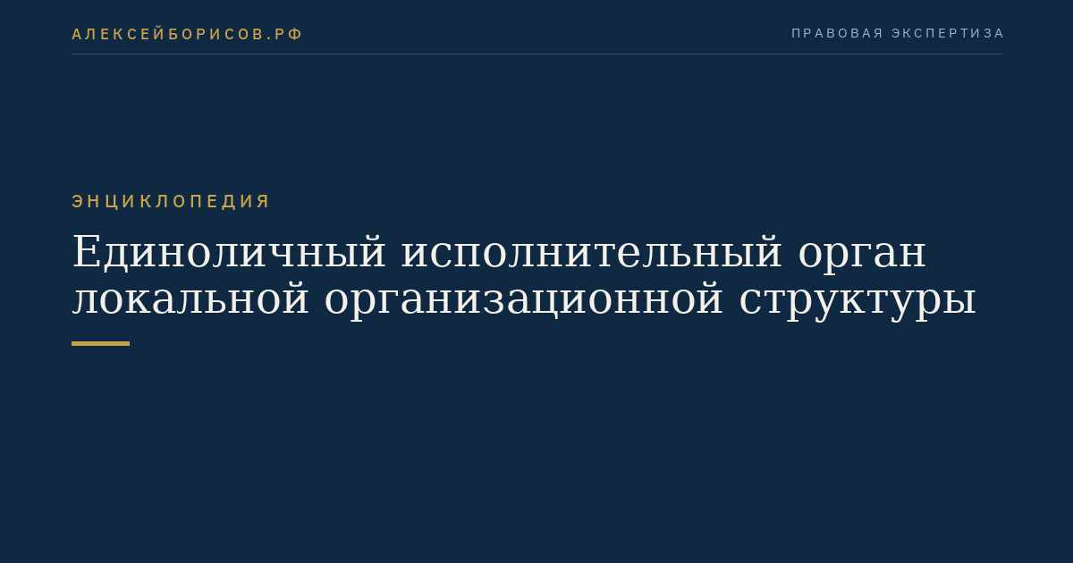Единоличный исполнительный орган локальной организационной структуры