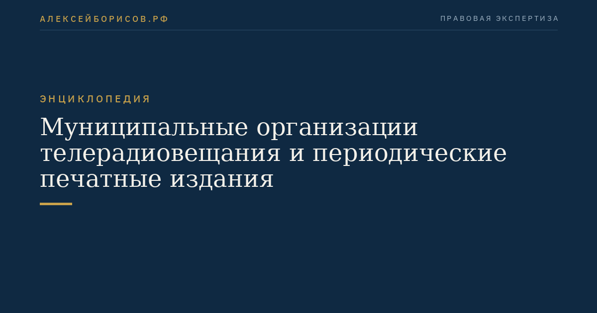 Муниципальные организации телерадиовещания и периодические печатные издания