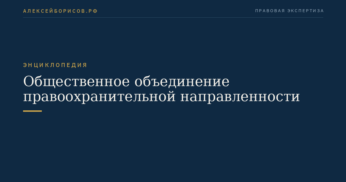 Общественное объединение правоохранительной направленности