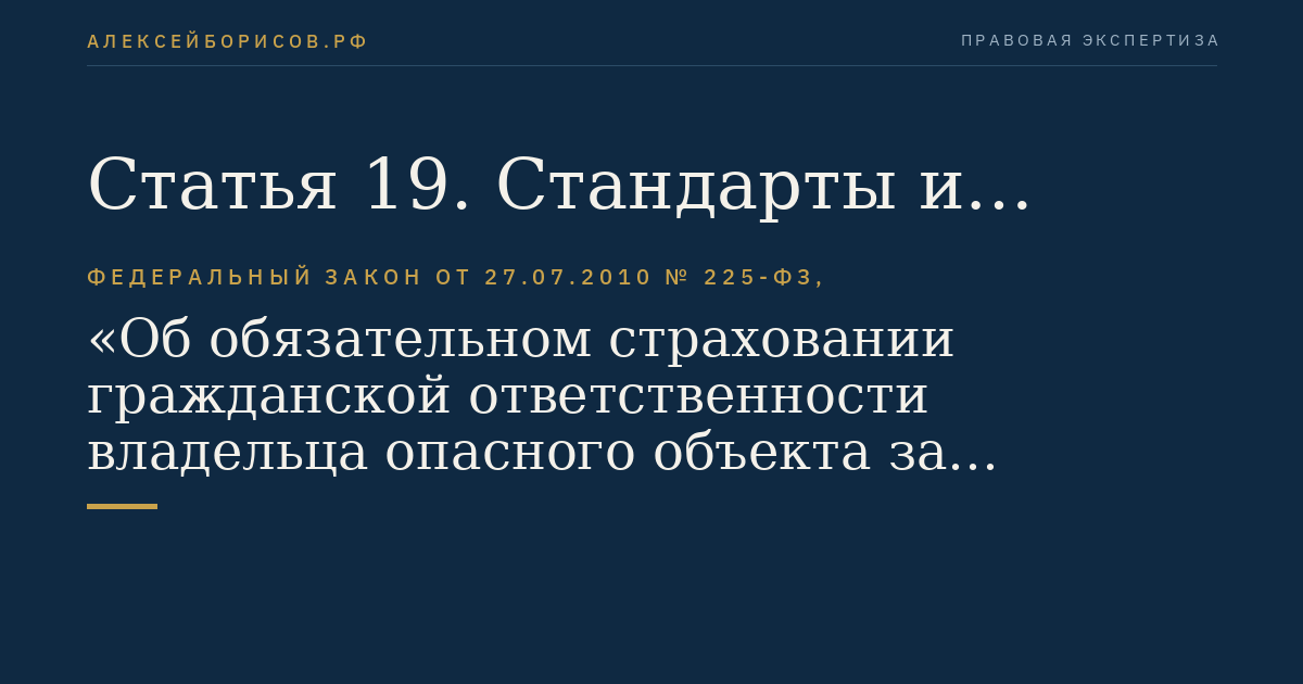 Статья 19. Стандарты и правила профессиональной деятельности