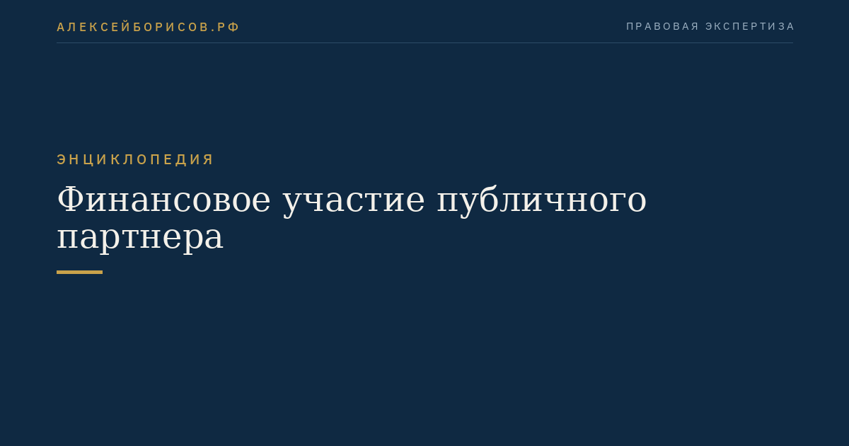 Финансовое участие публичного партнера