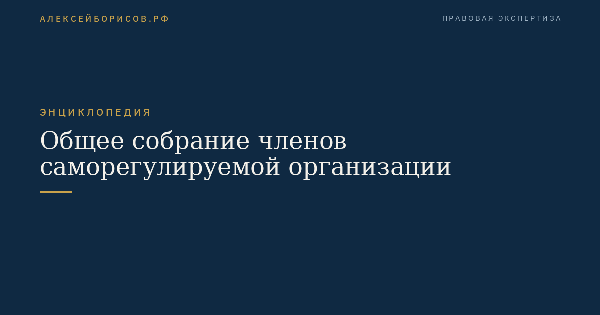 Общее собрание членов саморегулируемой организации