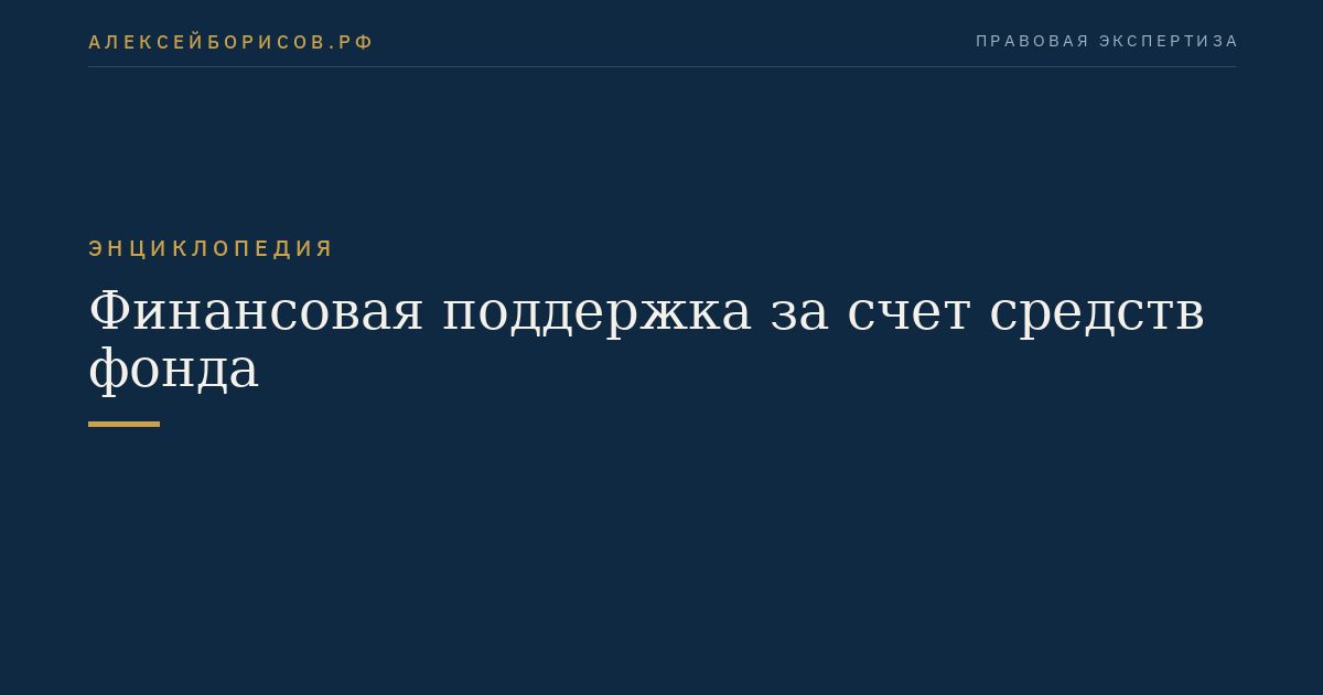 Финансовая поддержка за счет средств фонда