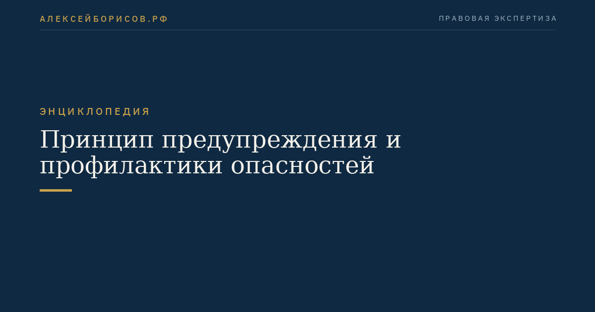 Принцип предупреждения и профилактики опасностей